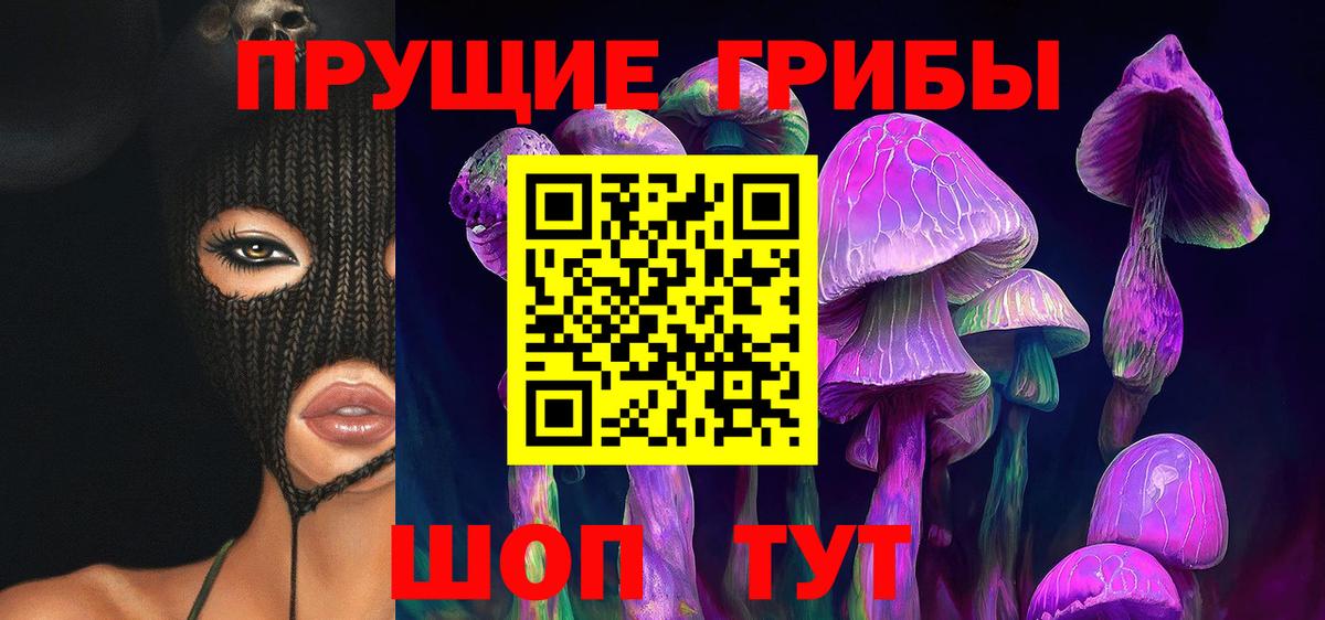 Галлюциногенные грибы Psilocybe Темрюк