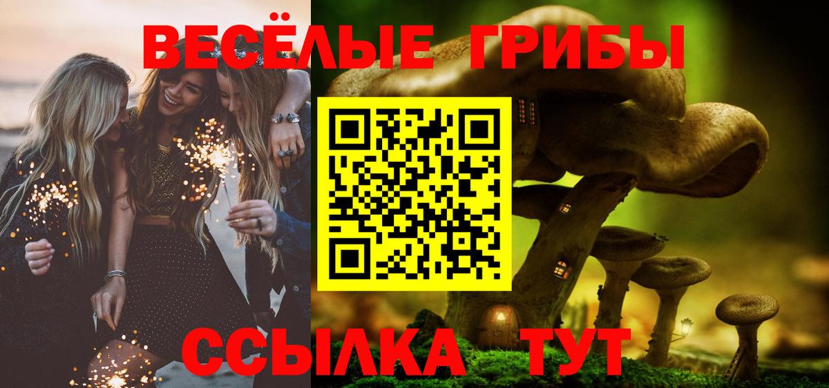 Темрюк  Галлюциногенные грибы Psilocybine cubensis  Вход с VPN 